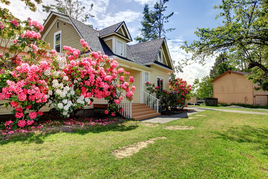 Spring Lawn Renovation Best Practices: Essential Tips