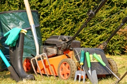 Spring Lawn Care Tips: Prepare Your Yard for Growth