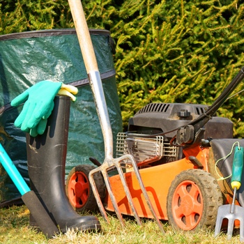 Spring Lawn Care Tips: Prepare Your Yard for Growth