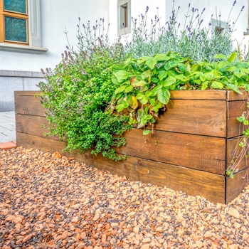 Spring Garden Planning: What to Plant and When in Minnesota