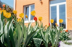 Enhance Your Home's Curb Appeal with Top Spring Landscaping Tips for Minnesota Gardens