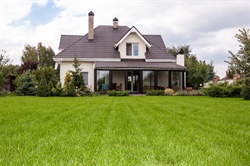 When is the Best Time to Fertilize My Lawn in Minnesota?