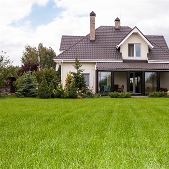 When is the Best Time to Fertilize My Lawn in Minnesota?