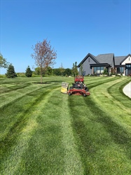 Achieve a Lush Summer Lawn in Minnesota with Expert Tips