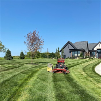 Achieve a Lush Summer Lawn in Minnesota with Expert Tips