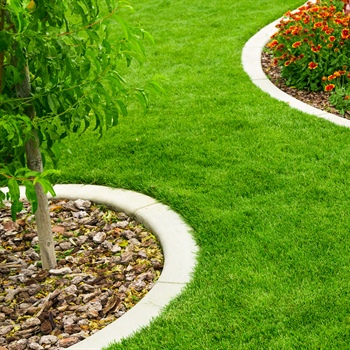 Essential Summer Landscaping Projects for Your Home
