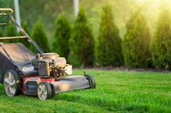 Effective Lawn Care Tips for Summer Heat Stress Management
