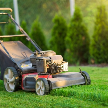 Effective Lawn Care Tips for Summer Heat Stress Management
