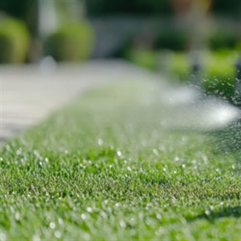6 Best Practices for Efficient Lawn Irrigation