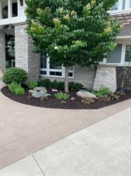 Enhance Property Value with Expert Landscaping Services