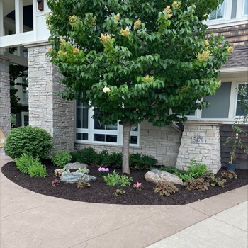 Enhance Property Value with Expert Landscaping Services