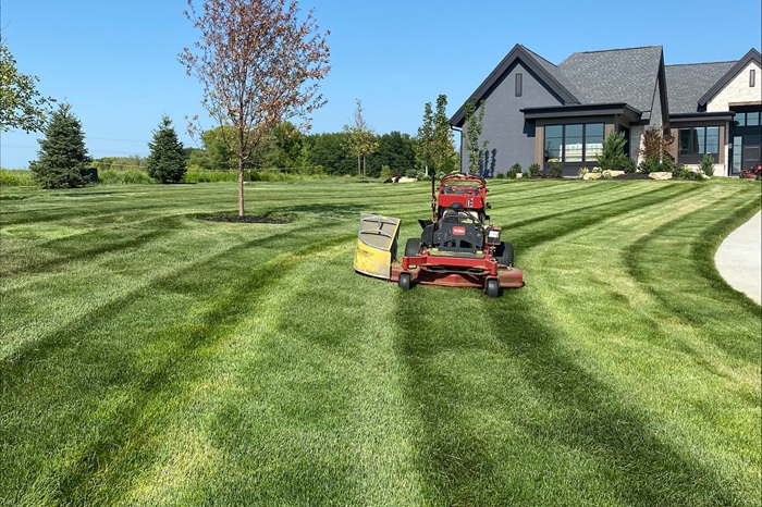 How Minnesota Lawn Care Services Thrive in a Harsh Climate
