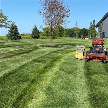 How Minnesota Lawn Care Services Thrive in a Harsh Climate
