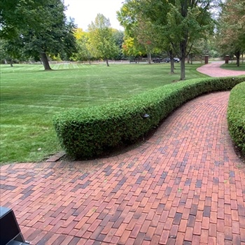 Proven Sustainable Landscaping Ideas That Work in Minnesota