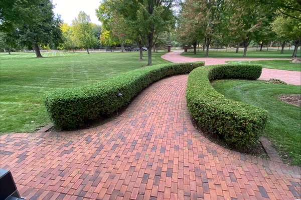 Proven Sustainable Landscaping Ideas That Work in Minnesota