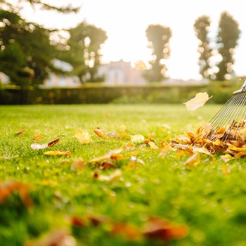 Year-Round Lawn Maintenance: Keep Your Yard Healthy in Every Season