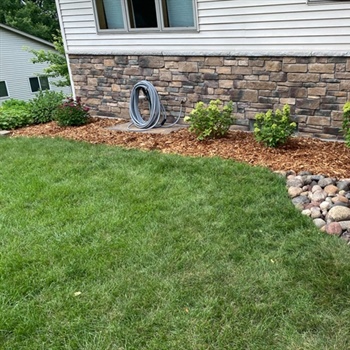 Effective Weed Control Strategies for Healthier Minnesota Lawns