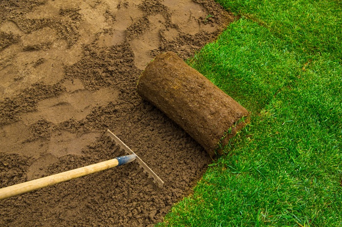 Minnesota Sod Installation: Step-by-Step Guide for a Greener Lawn