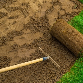 Minnesota Sod Installation: Step-by-Step Guide for a Greener Lawn