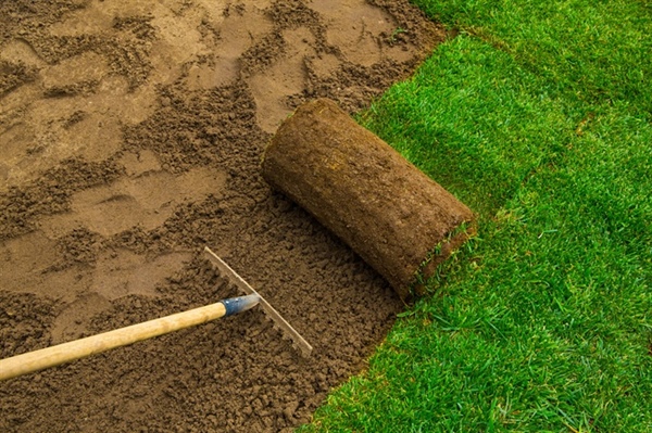 Minnesota Sod Installation: Step-by-Step Guide for a Greener Lawn