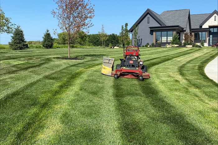 How Do Nutrient Imbalances Affect Grass Growth Even With Regular Fertilization?