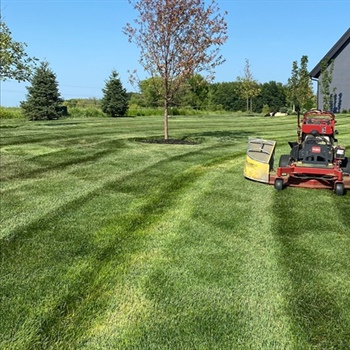 How Do Nutrient Imbalances Affect Grass Growth Even With Regular Fertilization?