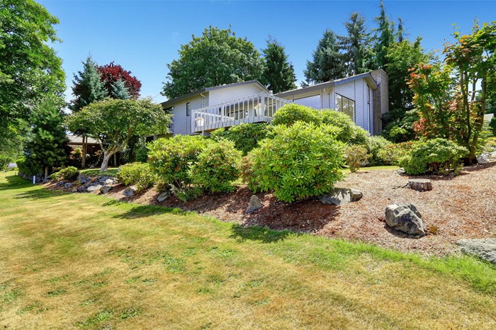 How Do Grading and Drainage Design Impact Lawn Performance Over Time?