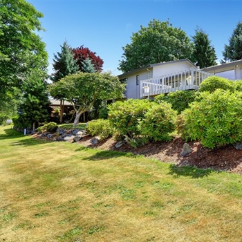 How Do Grading and Drainage Design Impact Lawn Performance Over Time?