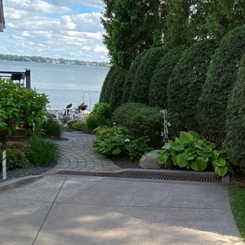Lake Pulaski Arborvitae Hedge Trimming in Buffalo, MN