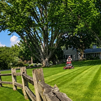 Minnetonka One-Acre Residential Lawn Care Rebuild