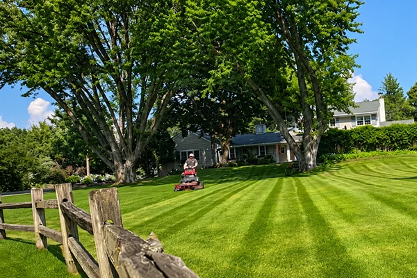 Minnetonka One-Acre Residential Lawn Care Rebuild