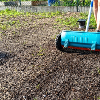 Essential Fall Lawn Care Tips: Preparing Your Yard for Winter