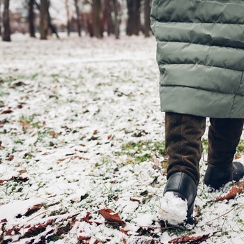Understanding the Impact of Winter Weather on Different Grass Types
