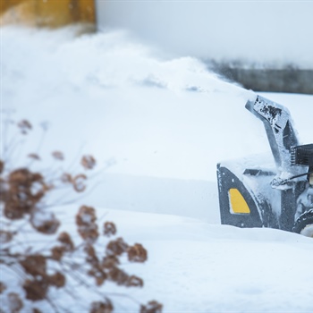 Winter Lawn Care: Essential Tips to Prepare for Spring