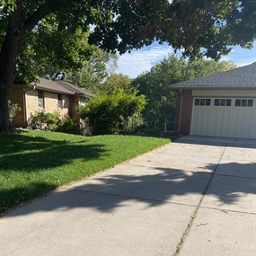 Restored front lawn and mulched planting beds beside an Edina driveway