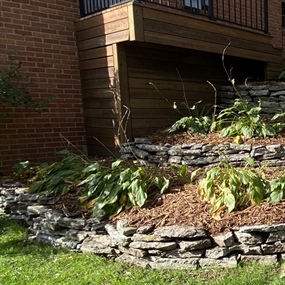 Rebuilt dry-stacked flagstone terraces with hostas and a mulched walking path