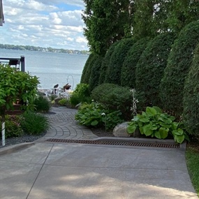 Finished arborvitae privacy hedge bordering a landscaped walkway to Lake Pulaski