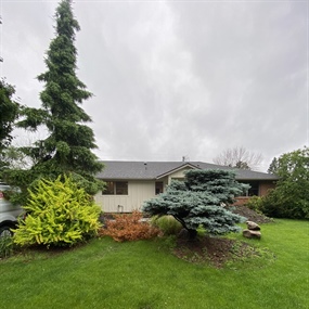 Outdated front landscape with overgrown shrubs before planting-bed renovation