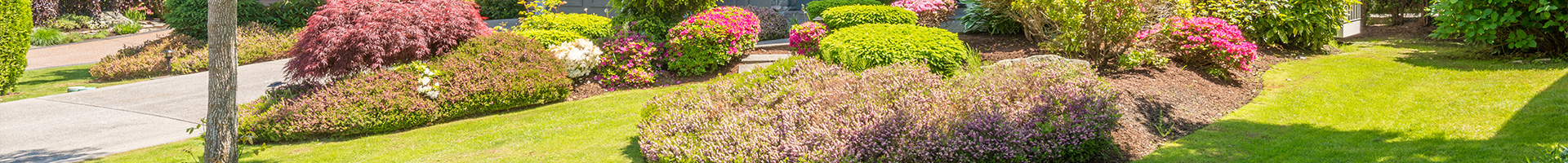 Landscaping