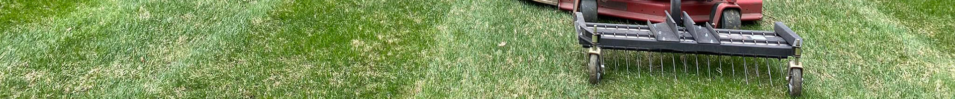 Lawn Aeration
