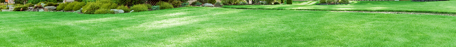 Lawn