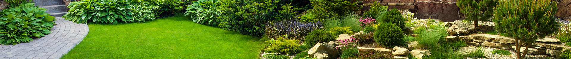 Landscaping